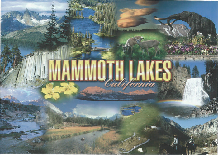 5X7 Mammoth Lakes Collage Postcard