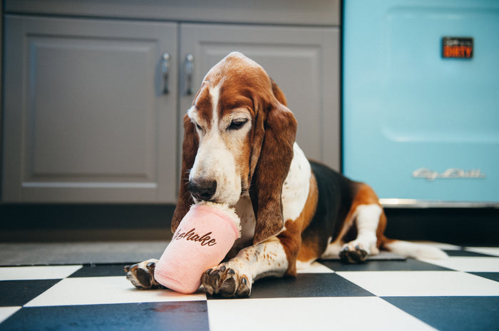 P.L.A.Y. American Classic Mutts Milkshake Toy - Basset Hound laying on checkered kitchen floor looking like he's drinking from the milkshake