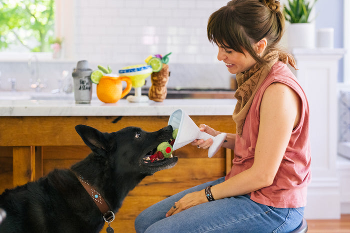 P.L.A.Y. Barktender Collection - Pawtini Toy - beautiful black dog with olives in mouth while dog mom is holding onto the base smiling down at her in kitchen