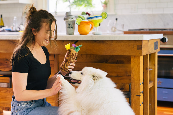 P.L.A.Y. Barktender Collection - Tiki Time Toy - dog mom holding toy in hand and high fiving white fluffy dog - both have smiles on their faces