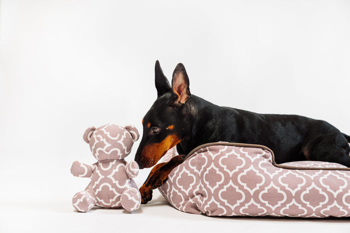Dog lying on P.L.A.Y. Moroccan Lounge Bed in Ash Gray with matching P.L.A.Y. Upcycled Zoo Pal Bear plush toy next to it on a white background