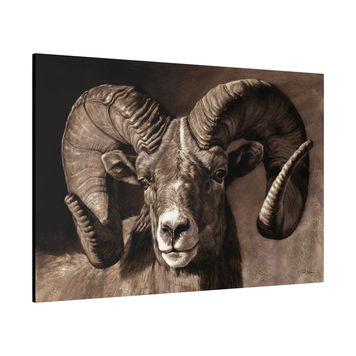 "Full Curl" Stretched Canvas