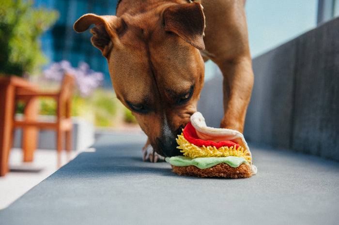P.L.A.Y.'s International Classic Tail Waggin' Taco Toy - brown dog sniffing the taco with nose between the layers