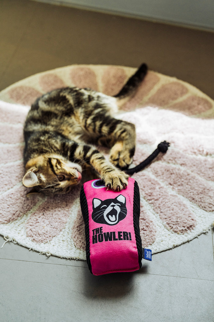 Cat laying on rug pawing at the Jackson Galaxy x Feline Frenzy The Stomp Box Kicker toy with tongue out