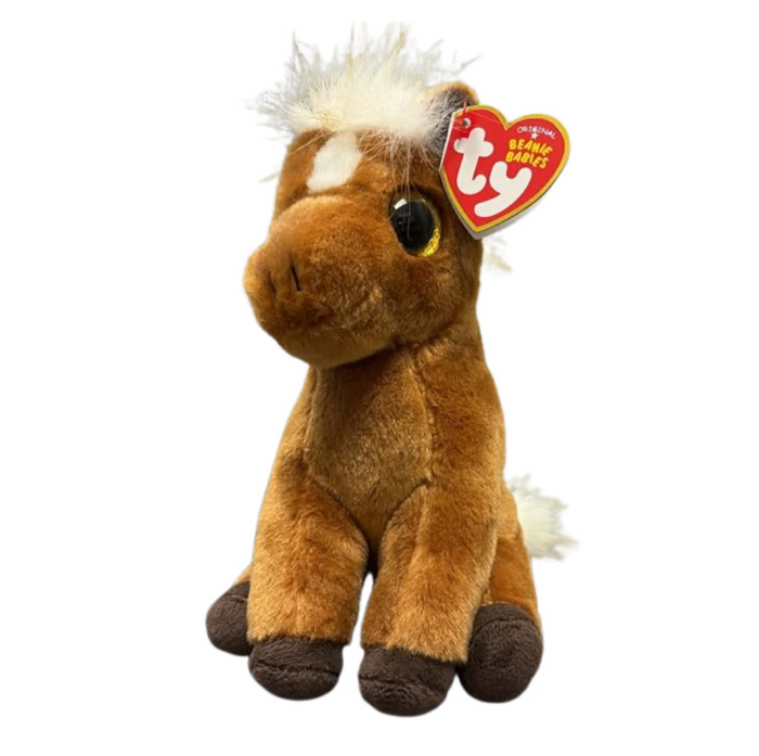 MORTY - mustang brn reg