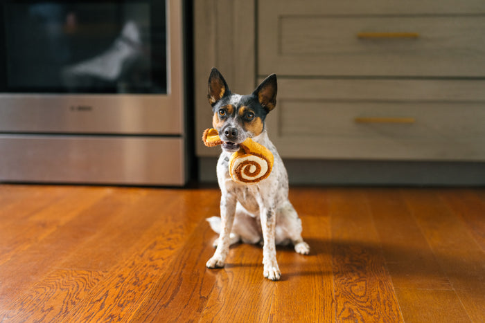 P.L.A.Y.'s Pup Cup Cafe Collection - Mini Cinna-bone Toy in beautiful dog's mouth looking into camera