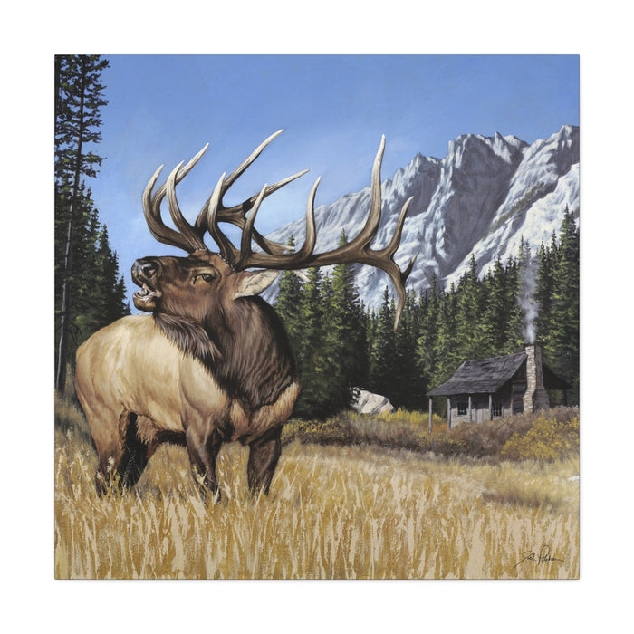 36" x 36" / 1.25"