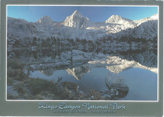 5X7 Kings Canyon Park Winter Postcard