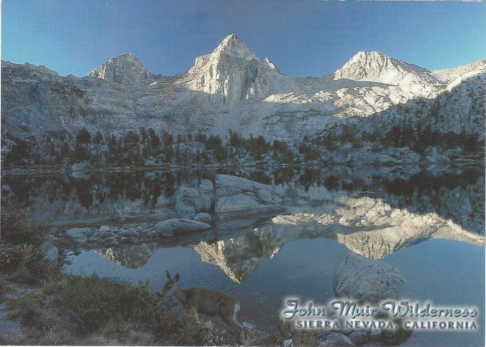 5X7 Sierra Mountain Peak Postcard