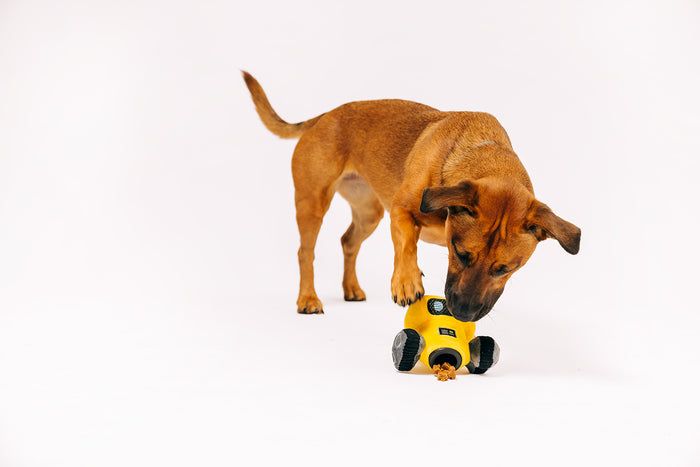 P.L.A.Y. Alien Buddies Robo-Rover Toy with beautiful brown dog pawing the toy with treats falling out of treat dispensing bonus toy inside