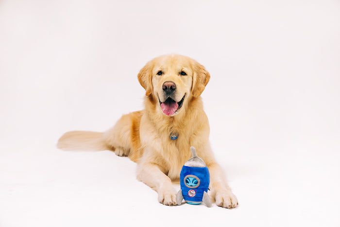 P.L.A.Y. Alien Buddies Starblaster Toy sitting in front of a golden retriever
