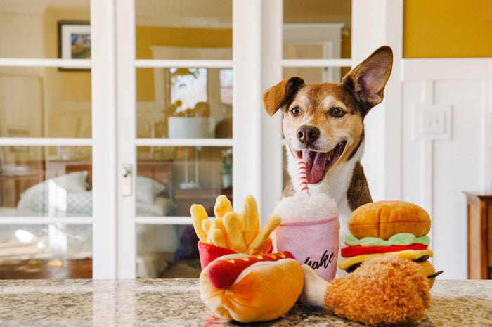 American Classic Collection - Dog at Counter with Toys- P.L.A.Y.
