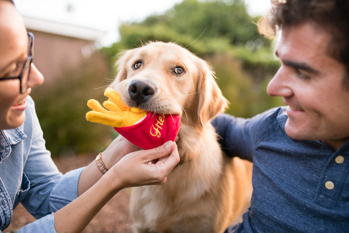 P.L.A.Y. American Classic  French Fries - in a Golden Retreiver's mouth between dog mom and dad smiling