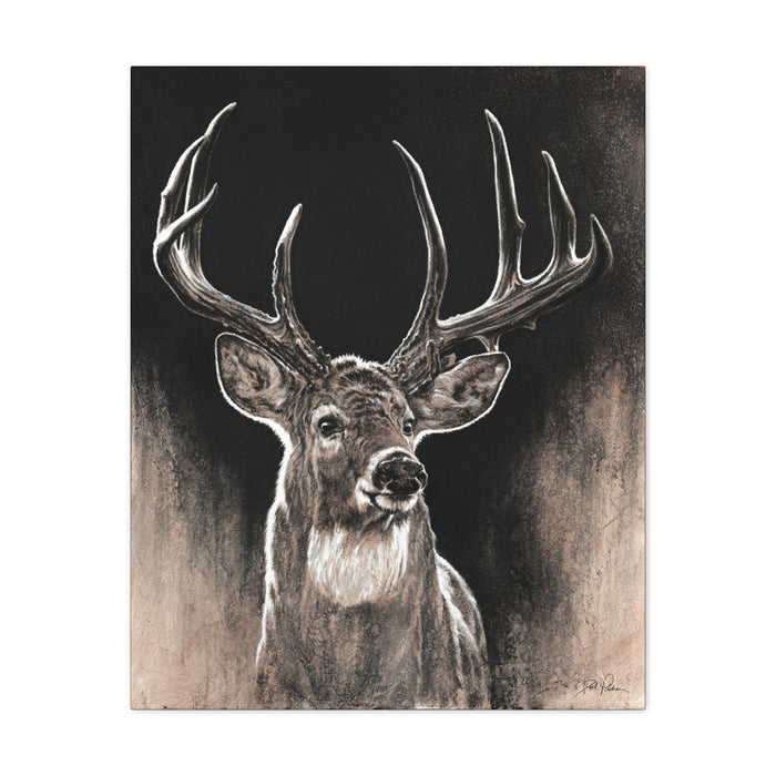 "Backlit Buck" Stretched Canvas