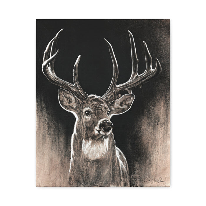 "Backlit Buck" Stretched Canvas