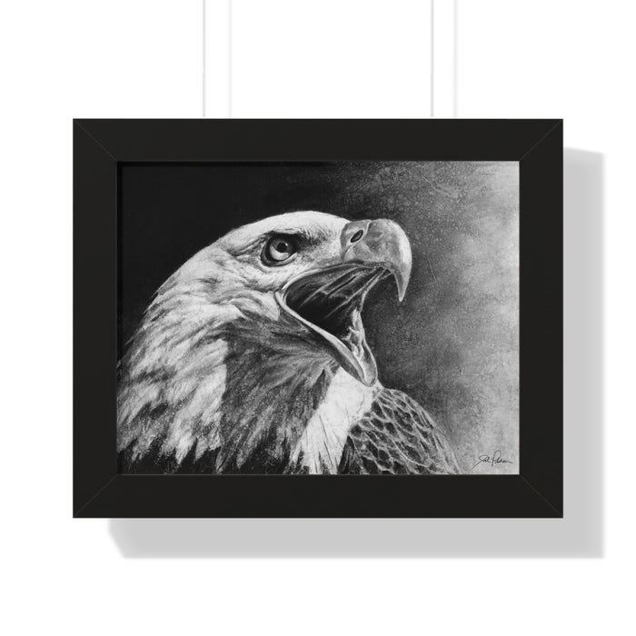 "Bald Eagle" Framed Paper Print