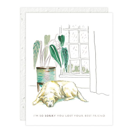 A folded card with an illustration of a dog lying down, with a blank inside for a personal message. The card has a white background and features a window and a potted plant in the background.