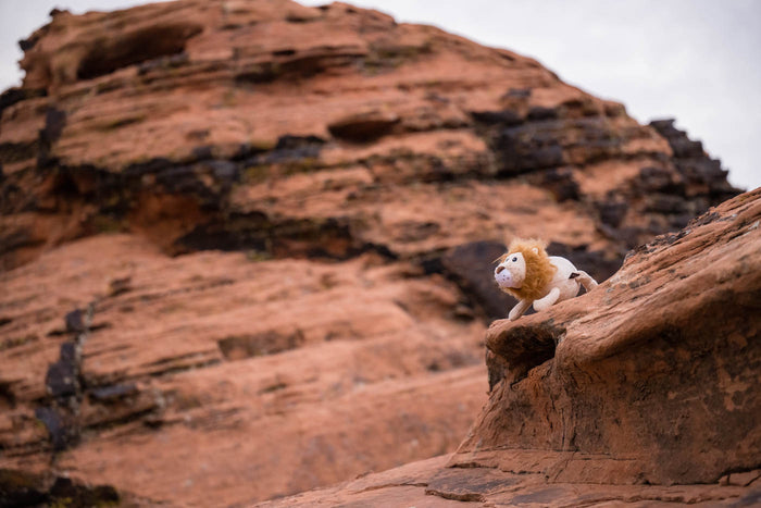 P.L.A.Y.'s Big Five of Africa Collection - Lion toy sitting on the edge of a rock formation