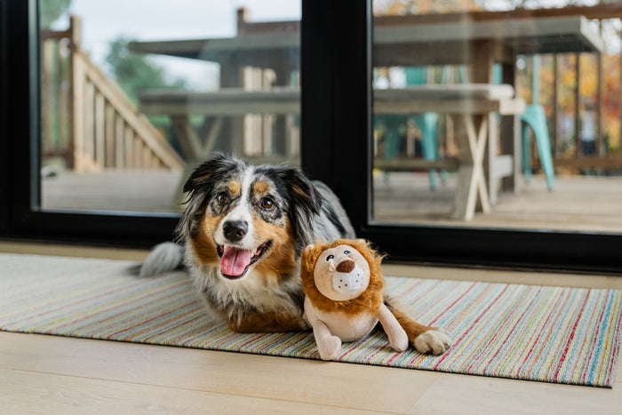 P.L.A.Y. Big Five of Africa Collection - Lion Toy next to fluffy dog on rug smiling
