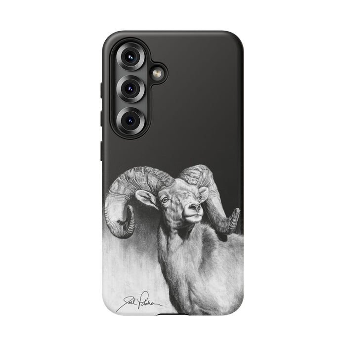 Samsung Galaxy S25 / Matte