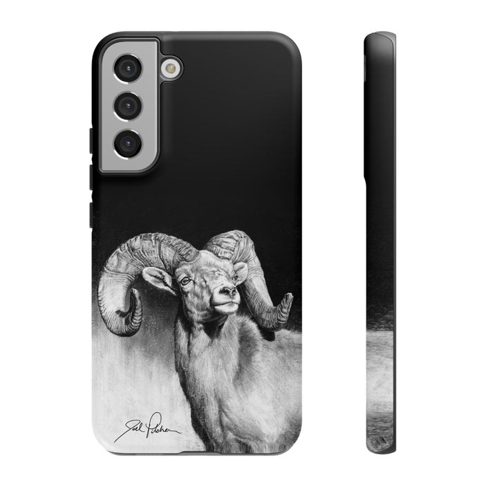 Samsung Galaxy S22 Plus / Matte