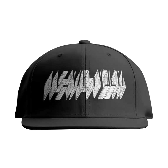 Block Logo Embroidered Snapback Hat