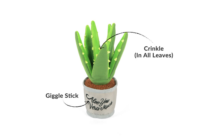 Blooming Buddies Collection by P.L.A.Y. Aloe-ve You Toy with features pointed out