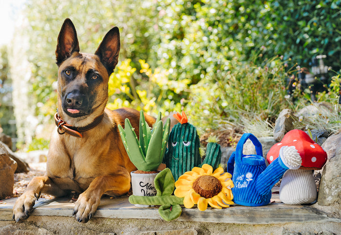 Blooming Buddies Collection by P.L.A.Y. with dog