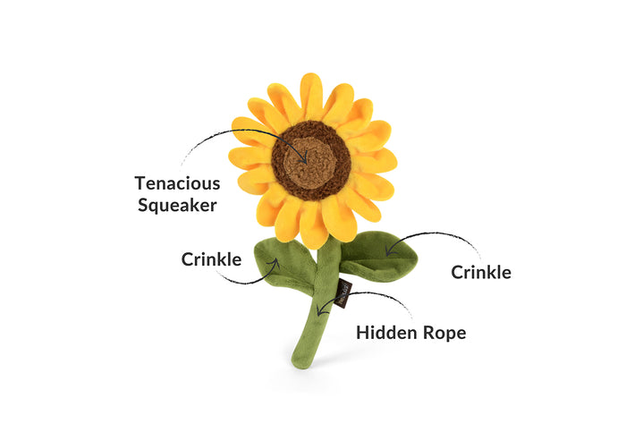 Blooming Buddies Collection by P.L.A.Y. Sassy Sunflower Toy with features pointed out