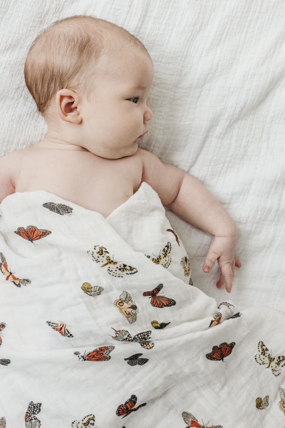Butterfly Migration SwaddleClementine Kids Butterfly Migration Baby Swaddle