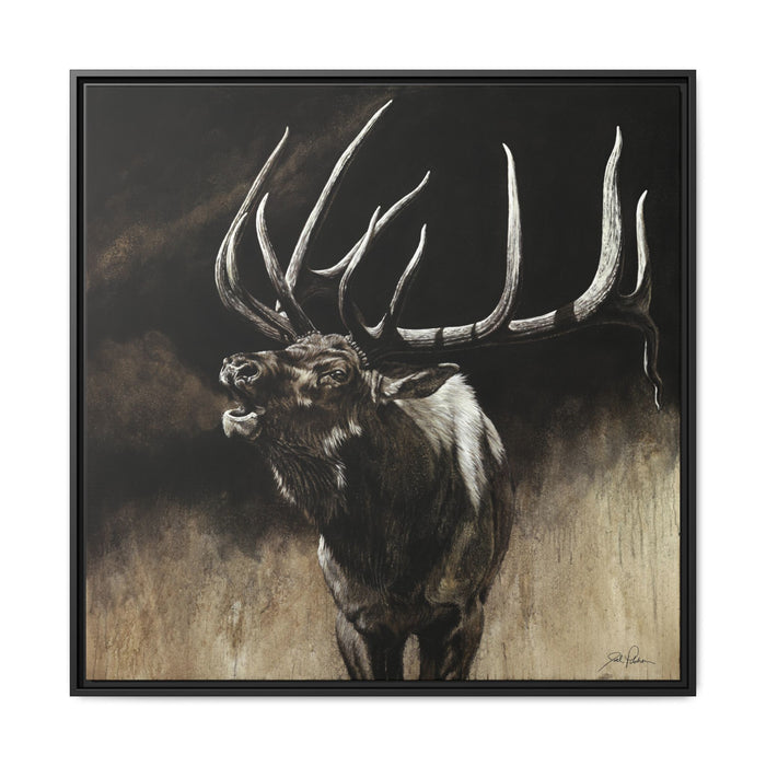 36″ x 36″ / Black / 1.25"