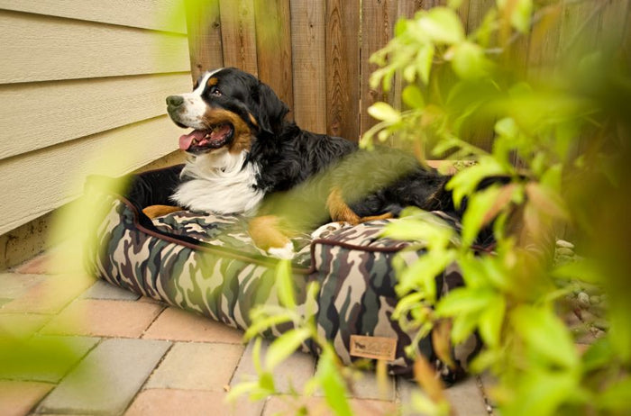 Variant: Camouflage Lounge Bed PY3003BSF