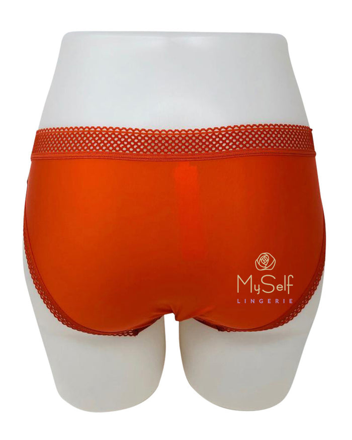 Chantelle Pumpkin Spirit Lace and Mesh Bikini