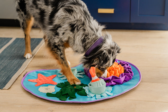 P.L.A.Y. Coral Cove Snuffle Mat - fluffy dog sniffing mat in front of blue cabinet