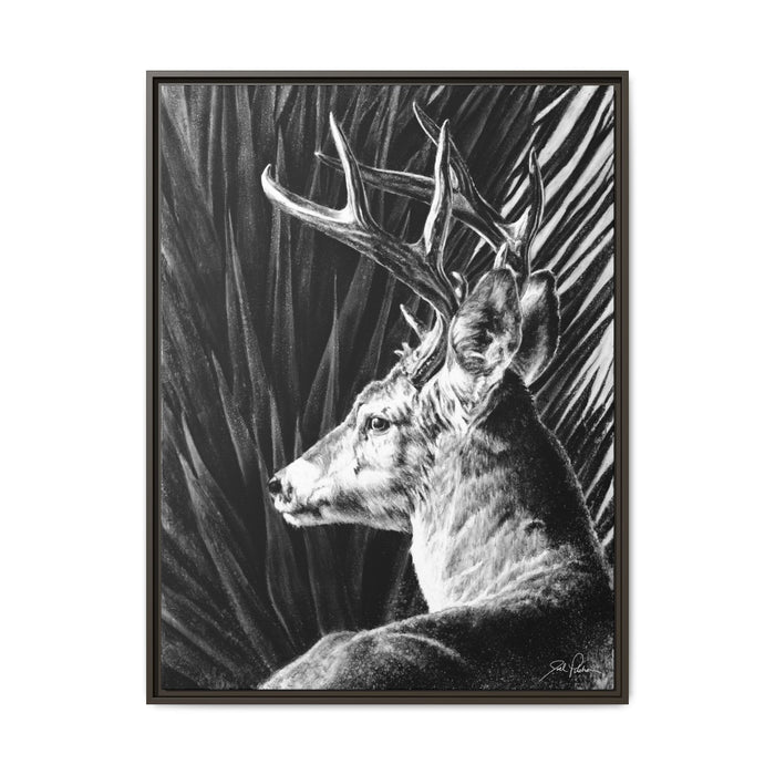 "Coues Buck" Framed Canvas