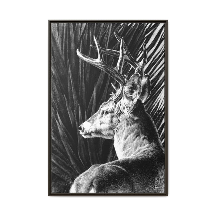 "Coues Buck" Framed Canvas