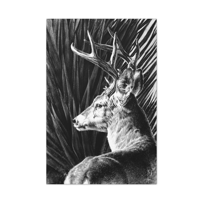"Coues Buck" Stretched Canvas