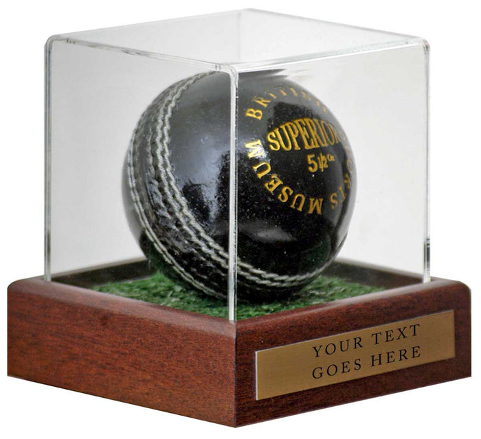 Cricket Ball Display Case 10x10x10cm with Custom Plaque with words of your choice**