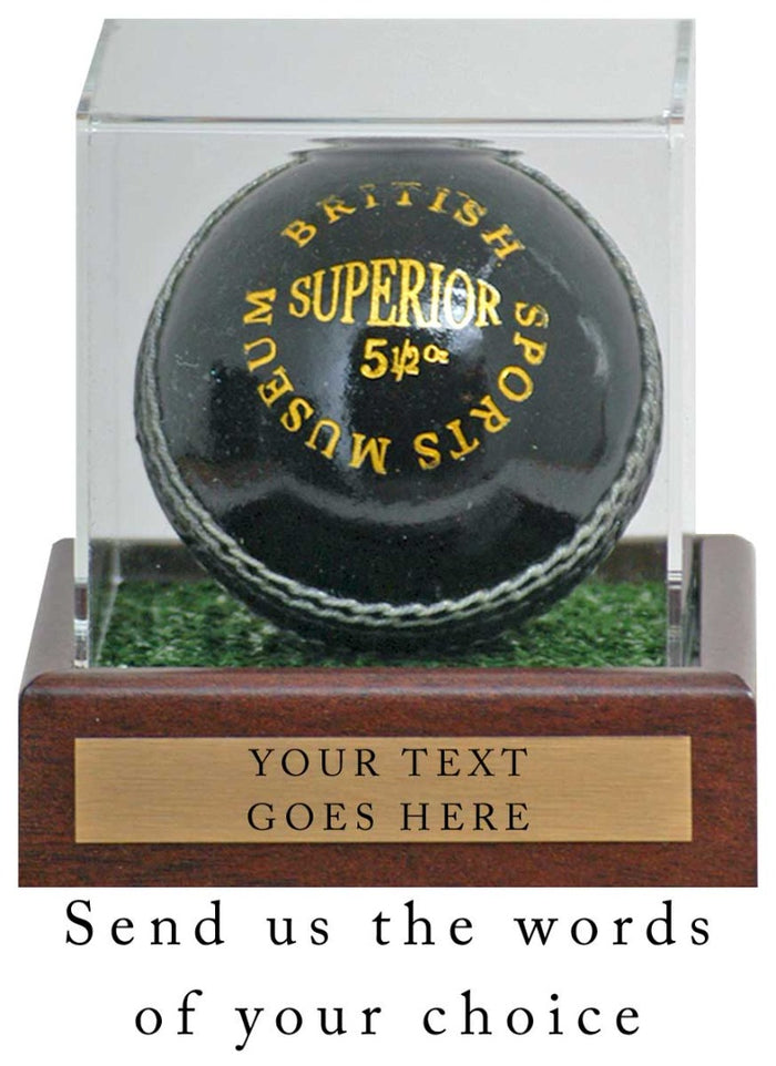 Cricket Ball Display Case 10x10x10cm with Custom Plaque with words of your choice**
