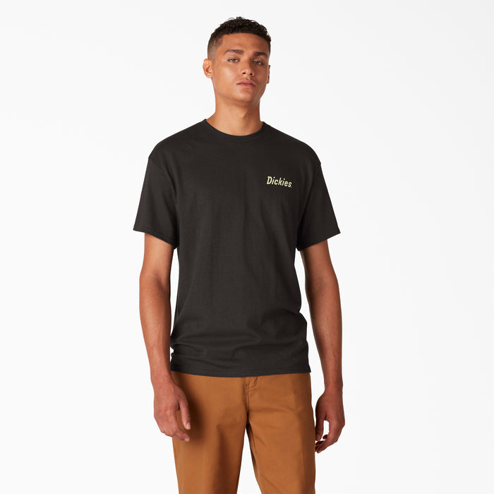 DK0WSSK10BK-BK