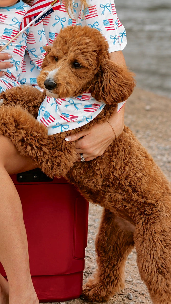 Dog Bandana in American Bows