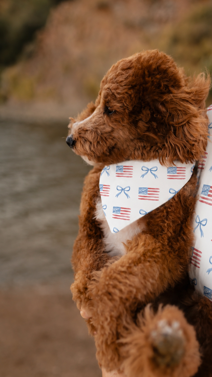 Dog Bandana in American Bows