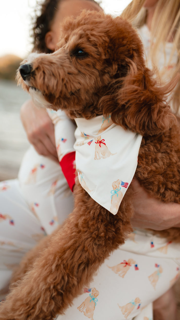 Dog Bandana in American Pup