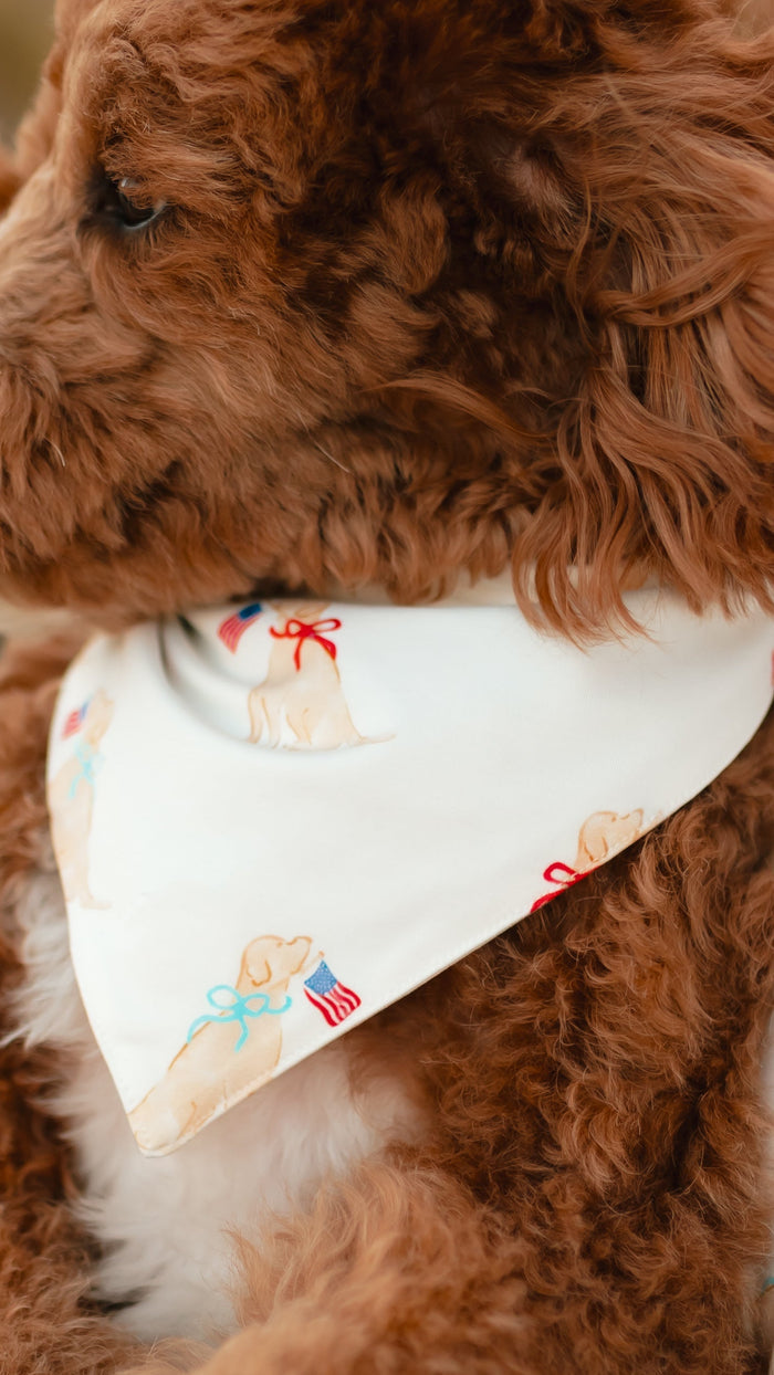 Dog Bandana in American Pup