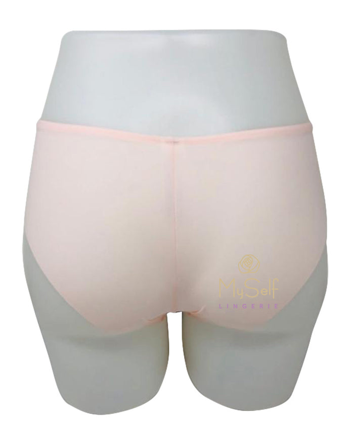 Dominique 420 Microfiber Bonded Brief myselflingerie.com
