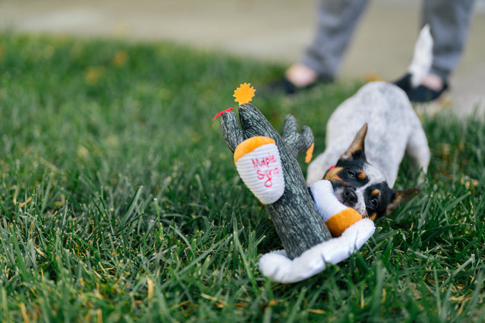 P.L.A.Y. x Earth Rated Montreal Munchies Collection - Puppy playing with Barking up the Maple Tree toy