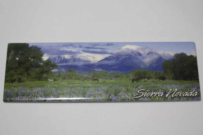Eastern Sierra Nevada Magnet