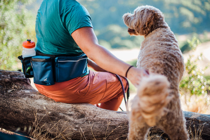 P.L.A.Y.'s Explorer Pack in Waterfall Blue being worn on human sitting on log with dog