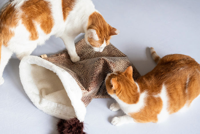 P.L.A.Y. Feline Frenzy Cat Crinkle Sack - two ginger cats playing over the sack
