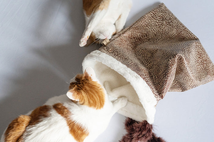 P.L.A.Y. Feline Frenzy Cat Crinkle Sack - one cat entering the sack and one playing upside down